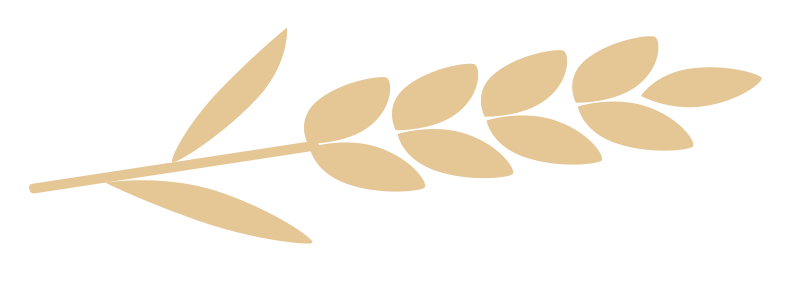 L’attribut alt de cette image est vide, son nom de fichier est ble-2.png.